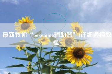 最新教你“pokemmo辅助器”(详细透视教程)