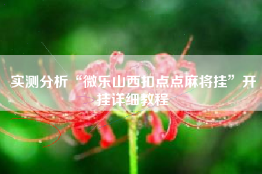 实测分析“微乐山西扣点点麻将挂”开挂详细教程