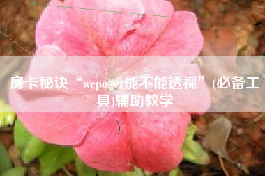 房卡秘诀“wepoker能不能透视	”(必备工具)辅助教学