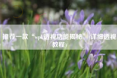 推荐一款“wpk透视功能揭秘”(详细透视教程)