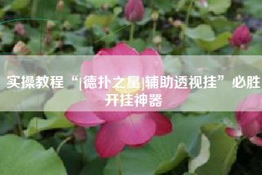 实操教程“[德扑之星]辅助透视挂	”必胜开挂神器