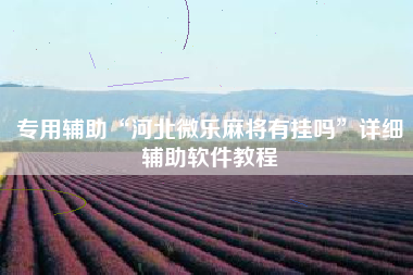 专用辅助“河北微乐麻将有挂吗	”详细辅助软件教程