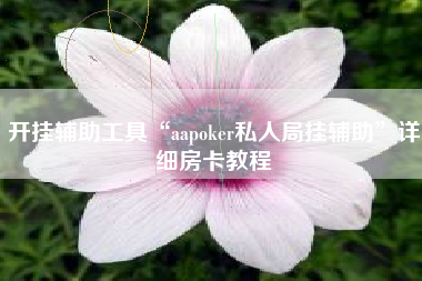 开挂辅助工具“aapoker私人局挂辅助”详细房卡教程
