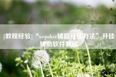 [教程经验]“wepoker辅助开挂方法”开挂辅助软件教程