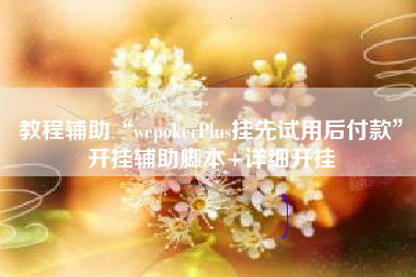 教程辅助“wepokerPlus挂先试用后付款”开挂辅助脚本+详细开挂