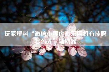 玩家爆料“微信小程序微乐麻将有挂吗怎么弄”辅助器