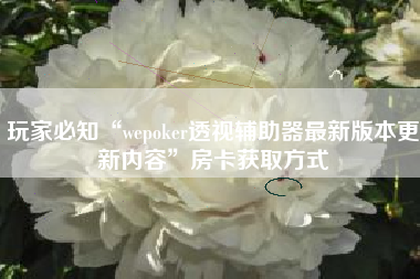 玩家必知“wepoker透视辅助器最新版本更新内容	”房卡获取方式