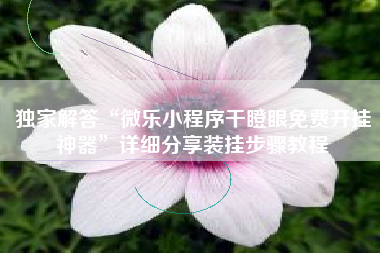 独家解答“微乐小程序干瞪眼免费开挂神器”详细分享装挂步骤教程