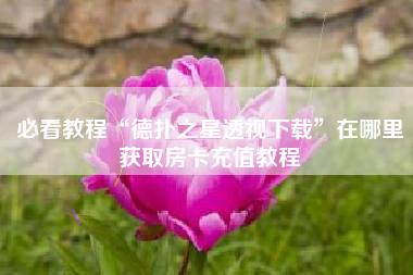 必看教程“德扑之星透视下载”在哪里获取房卡充值教程