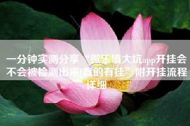 一分钟实测分享“微乐填大坑app开挂会不会被检测出来[真的有挂	”附开挂流程详细
