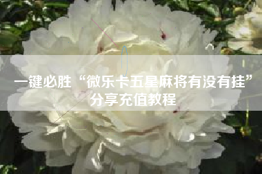 一键必胜“微乐卡五星麻将有没有挂”分享充值教程