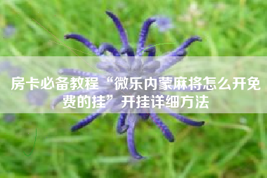 房卡必备教程“微乐内蒙麻将怎么开免费的挂”开挂详细方法