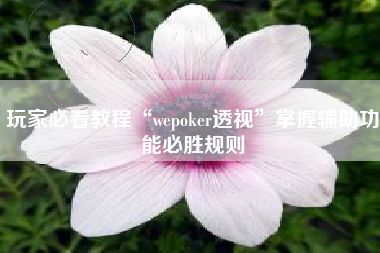 玩家必看教程“wepoker透视	”掌握辅助功能必胜规则