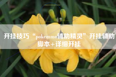 开挂技巧“pokemmo辅助精灵”开挂辅助脚本+详细开挂