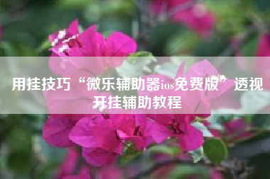 用挂技巧“微乐辅助器ios免费版	”透视开挂辅助教程