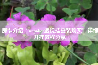 房卡介绍“wepoker透视挂安装购买”详细开挂教程分享
