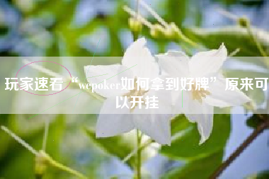 玩家速看“wepoker如何拿到好牌	”原来可以开挂