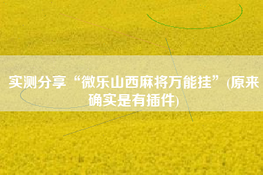 实测分享“微乐山西麻将万能挂”(原来确实是有插件)