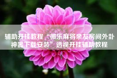 辅助开挂教程“微乐麻将亲友房间外卦神器下载安装	”透视开挂辅助教程