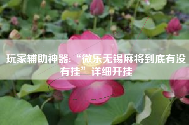 玩家辅助神器:“微乐无锡麻将到底有没有挂”详细开挂