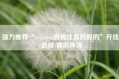 强力推荐“wepoker透视挂真的假的	”开挂(透视)辅助神器