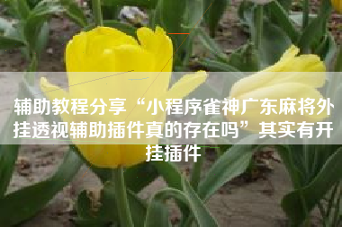 辅助教程分享“小程序雀神广东麻将外挂透视辅助插件真的存在吗”其实有开挂插件