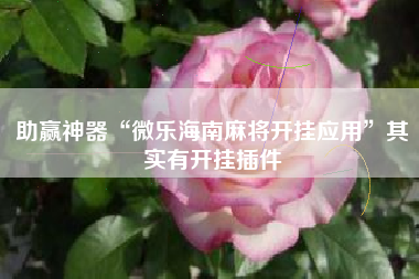 助赢神器“微乐海南麻将开挂应用”其实有开挂插件