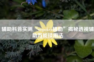 辅助科普实测“wepoker辅助”揭秘透视辅助万能挂用法