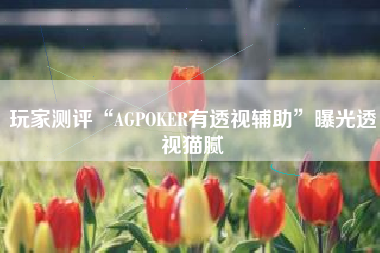 玩家测评“AGPOKER有透视辅助”曝光透视猫腻