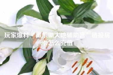 玩家爆料“微乐锄大地辅助器”链接房卡怎么充值