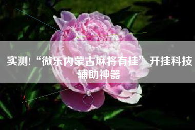 实测!“微乐内蒙古麻将有挂”开挂科技辅助神器