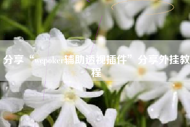 分享“wepoker辅助透视插件	”分享外挂教程