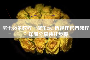 房卡必备教程“微乐2025透视挂官方教程”详细分享装挂步骤