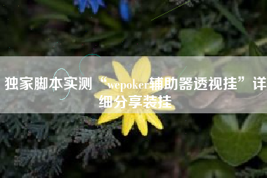 独家脚本实测“wepoker辅助器透视挂	”详细分享装挂