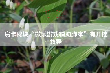 房卡秘诀“微乐游戏辅助脚本	”有开挂教程