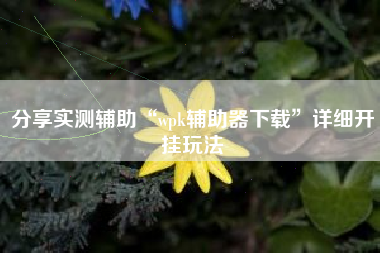 分享实测辅助“wpk辅助器下载”详细开挂玩法