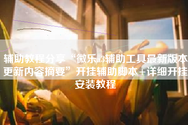 辅助教程分享“微乐a3辅助工具最新版本更新内容摘要”开挂辅助脚本+详细开挂安装教程