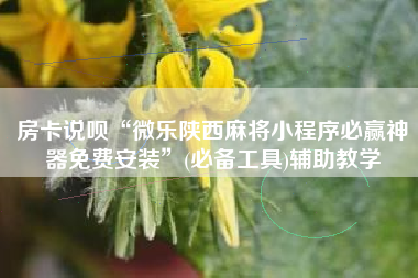 房卡说呗“微乐陕西麻将小程序必赢神器免费安装	”(必备工具)辅助教学