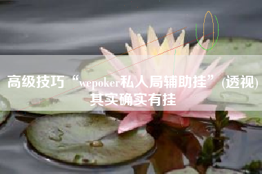 高级技巧“wepoker私人局辅助挂	”(透视)其实确实有挂