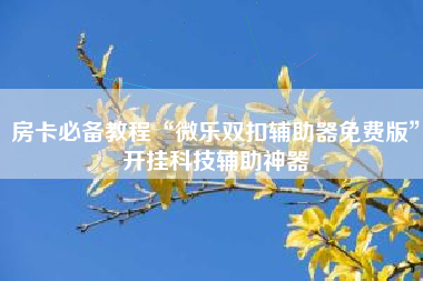 房卡必备教程“微乐双扣辅助器免费版”开挂科技辅助神器