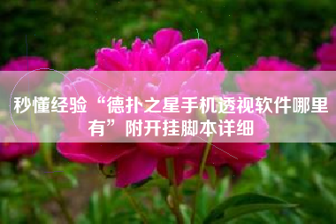 秒懂经验“德扑之星手机透视软件哪里有	”附开挂脚本详细