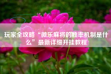 玩家全攻略“微乐麻将的胜率机制是什么	”最新详细开挂教程