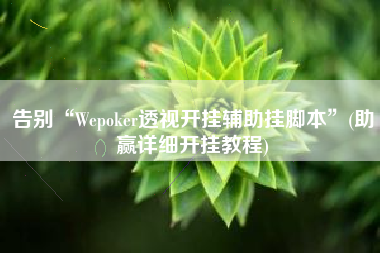 告别“Wepoker透视开挂辅助挂脚本”(助赢详细开挂教程)