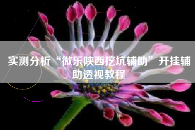 实测分析“微乐陕西挖坑辅助”开挂辅助透视教程