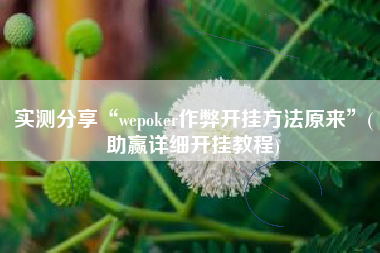 实测分享“wepoker作弊开挂方法原来”(助赢详细开挂教程)