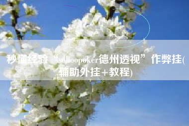 秒懂经验“sohoopoker德州透视”作弊挂(辅助外挂+教程)