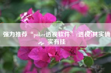 强力推荐“poker透视软件	”(透视)其实确实有挂