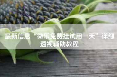 最新信息“微乐免费挂试用一天”详细透视辅助教程