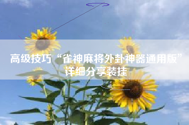 高级技巧“雀神麻将外卦神器通用版”详细分享装挂