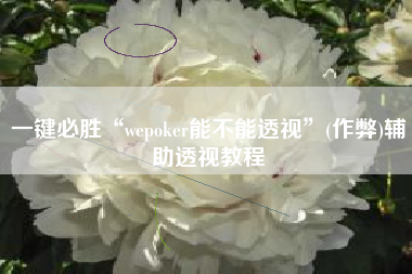 一键必胜“wepoker能不能透视”(作弊)辅助透视教程